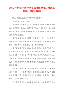 2025年组织生活会党支部对照检查材料起草指南、实例和素材