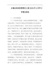 乡镇应急消防管理办公室2025年上半年工作情况报告