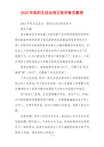 2025年组织生活会相互批评意见整理