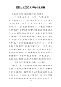 五四红旗团组织评选申报材料