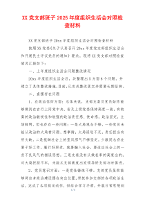 XX党支部班子2025年度组织生活会对照检查材料