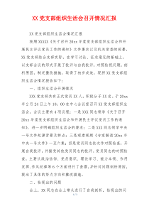 XX党支部组织生活会召开情况汇报