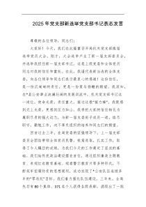 2025年党支部新选举党支部书记表态发言