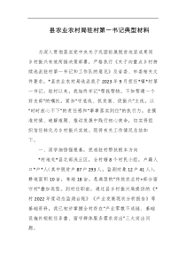 县农业农村局驻村第一书记典型材料