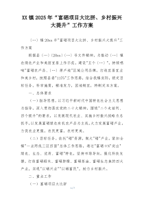 XX镇2025年“富硒项目大比拼、乡村振兴 大提升”工作方案