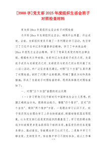 [3900字]党支部2025年度组织生活会班子对照检查材料