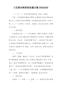 X区街长制具体实施方案20252025