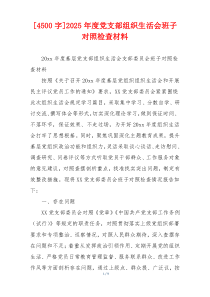 [4500字]2025年度党支部组织生活会班子对照检查材料