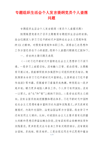 专题组织生活会个人发言提纲党员个人查摆问题