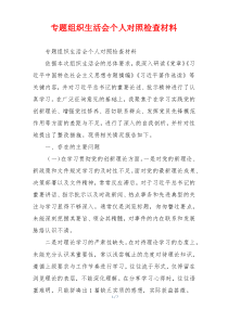 专题组织生活会个人对照检查材料