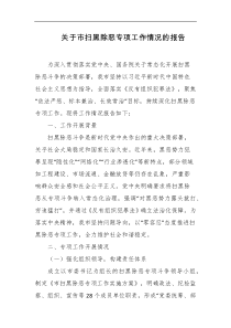 关于市扫黑除恶专项工作情况的报告