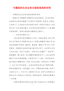 专题组织生活会党支部检视剖析材料