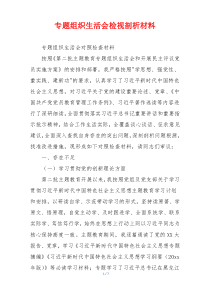 专题组织生活会检视剖析材料