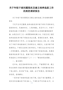 关于年轻干部问题现状及建立培养选拔工作机制的调研报告