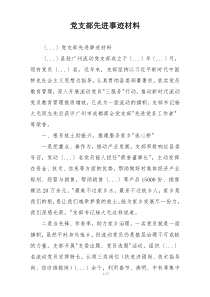 党支部先进事迹材料