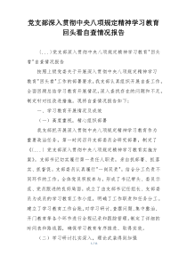 党支部深入贯彻中央八项规定精神学习教育回头看自查情况报告
