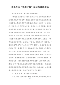 关于我市“雪亮工程”建设的调研报告