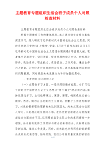 主题教育专题组织生活会班子成员个人对照检查材料