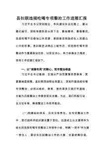 县妇联违规吃喝专项整治工作进展汇报