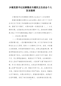 乡镇党委书记巡察整改专题民主生活会个人发言提纲