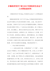 乡镇政府党员干部2025年度组织生活会个人对照检查材料