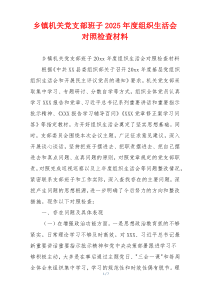 乡镇机关党支部班子2025年度组织生活会对照检查材料