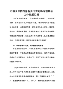 市粮食和物资储备局违规吃喝专项整治工作进展汇报
