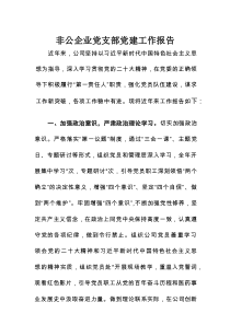 非公企业党支部党建工作报告