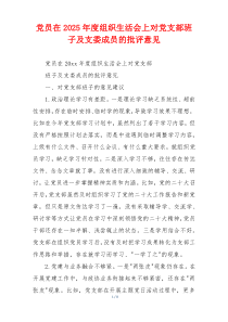 党员在2025年度组织生活会上对党支部班子及支委成员的批评意见