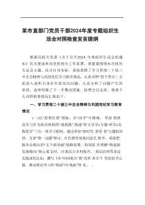 党员干部2024年度专题组织生活会对照检查发言提纲