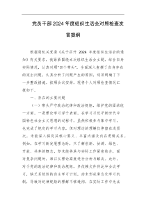 党员干部2024年度组织生活会对照检查发言提纲