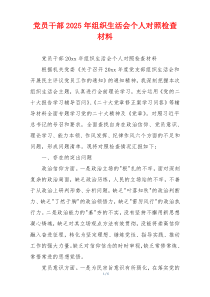 党员干部2025年组织生活会个人对照检查材料