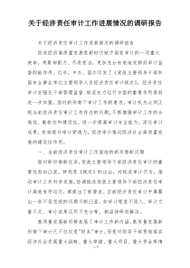 关于经济责任审计工作进展情况的调研报告