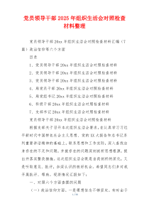 党员领导干部2025年组织生活会对照检查材料整理