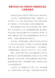 党委书记在2025年度党员干部组织生活会上的批评意见