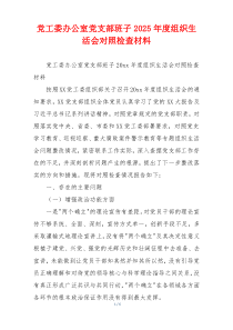 党工委办公室党支部班子2025年度组织生活会对照检查材料