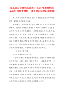 党工委办公室党支部班子2025年度组织生活会对照检查材料、增强政治功能组织功能