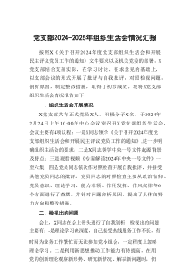 党支部2024年度组织生活会情况汇报材料