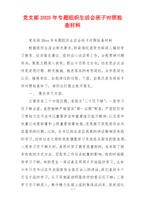党支部2025年专题组织生活会班子对照检查材料