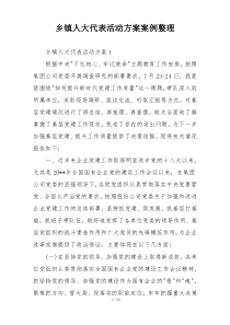乡镇人大代表活动方案案例整理