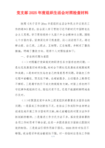 党支部2025年度组织生活会对照检查材料