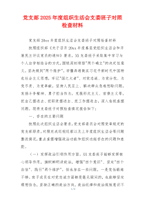 党支部2025年度组织生活会支委班子对照检查材料