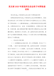 党支部2025年度组织生活会班子对照检查材料