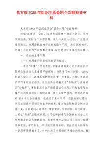 党支部2025年组织生活会四个对照检查材料