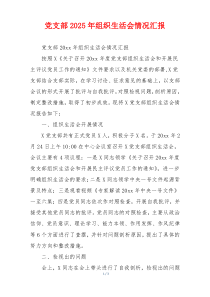 党支部2025年组织生活会情况汇报
