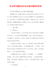 党支部专题组织生活会情况通报的样例
