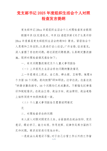 党支部书记2025年度组织生活会个人对照检查发言提纲