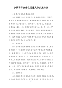乡镇青年突击队组建具体实施方案