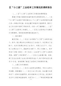 区“小三级”工会经审工作情况的调研报告