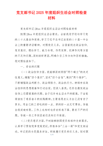 党支部书记2025年度组织生活会对照检查材料